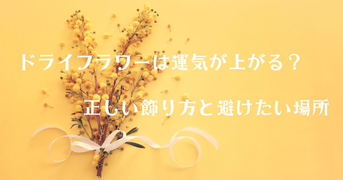 ドライフラワーは運気が上がる？正しい飾り方と避けたい場所