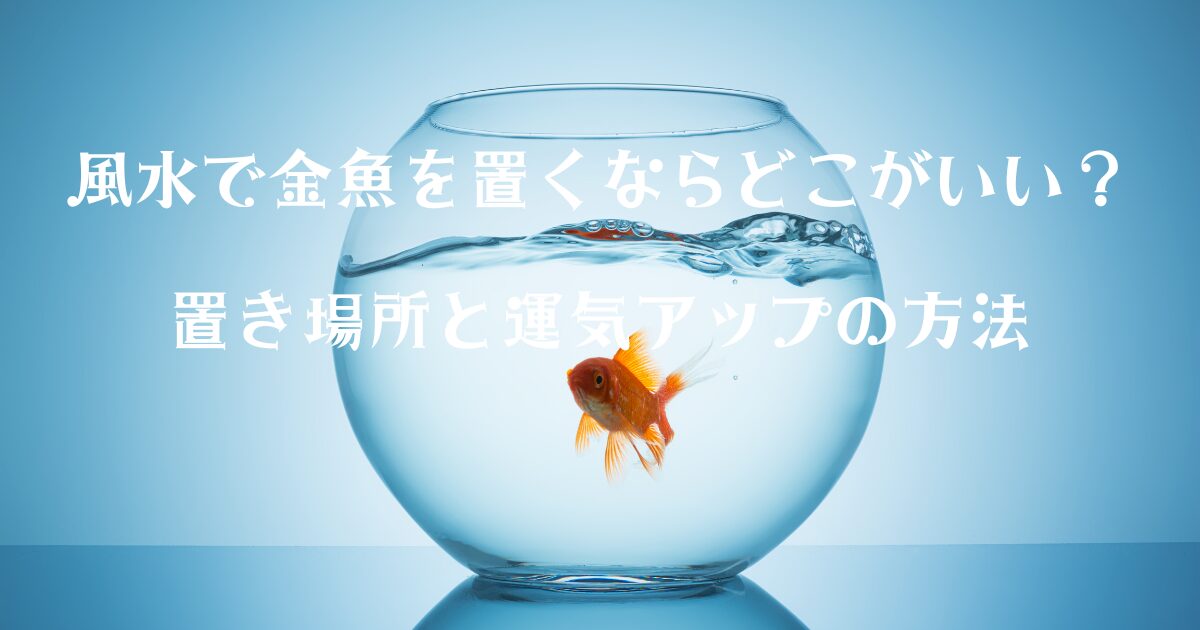 風水で金魚を置くならどこがいい？置き場所と運気アップの方法