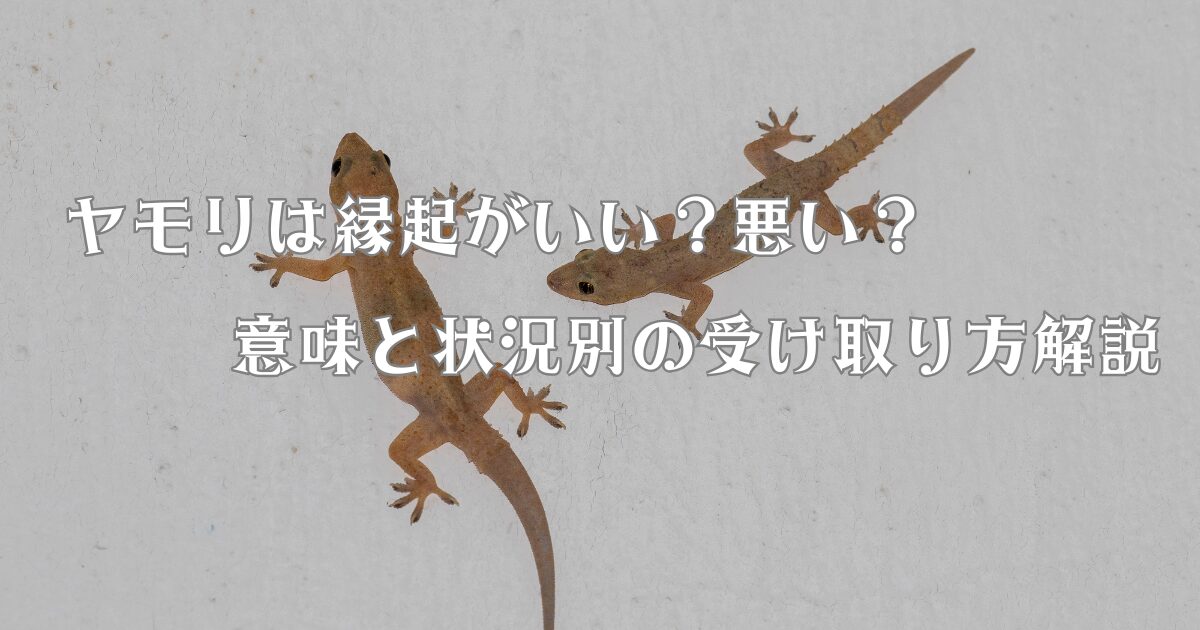 ヤモリは縁起がいい？悪い？意味と状況別の受け取り方解説